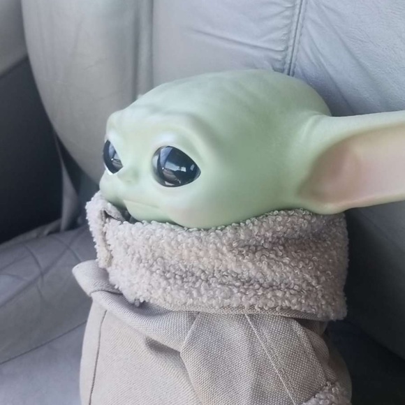 Meet your Posher, Amy - Picture 1 of 1